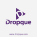 Nigeria’s DropQue Wins Seedstars Lagos