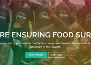 ThriveAgric of Nigeria Selected in 500 Startups Accelerator 24th Batch