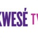 Econet Shuts down Kwesè Sport, Kwesè TV, and kwesè Play