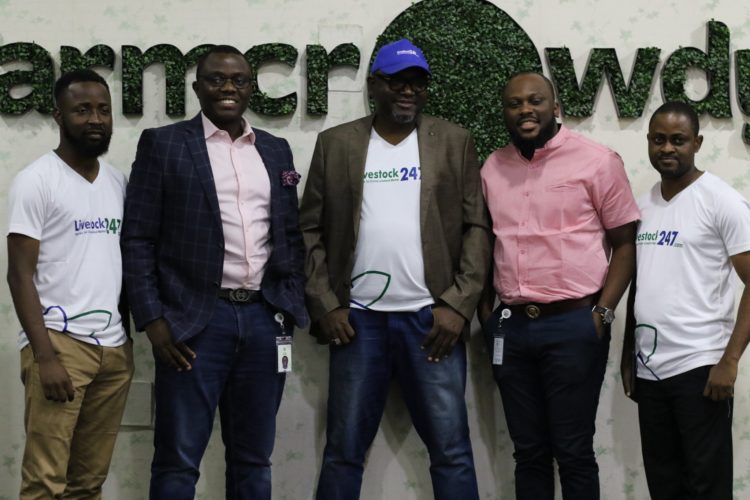 Nigeria’s FarmCrowdy Partners Livestock 247 for Improved Livestock Production and Trading