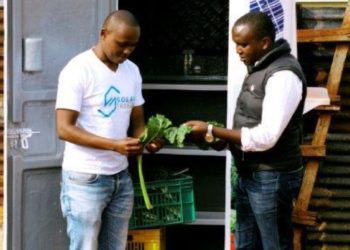 Two Kenyan Startups Wins $100,000 Cisco Global Problem Solver Challenge