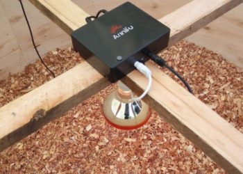 Arinifu’s Smart Chicken Brooder to boost Poultry Business in Kenya