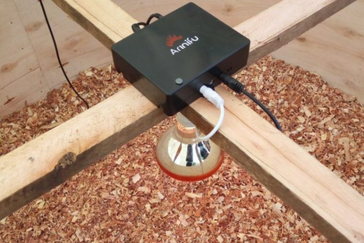 Arinifu’s Smart Chicken Brooder to boost Poultry Business in Kenya