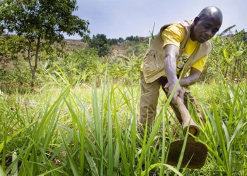 Village capital select 9 for Africa Accelerator