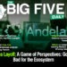 Andela Layoff: A game of perspectives; Good or Bad for the Ecosystem, Angola endorses Electronic Payment System for Foreign Trade Facilitation and More