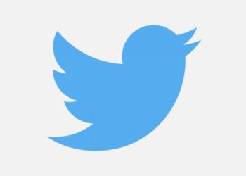 Twitter Pause Move to Delete Inactive Username and Account