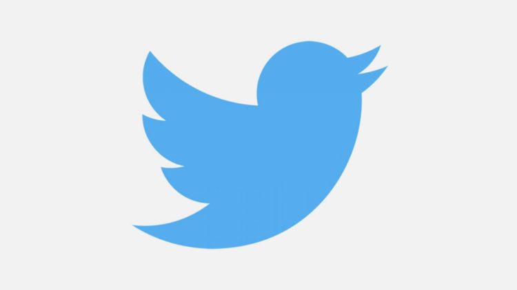 Twitter Pause Move to Delete Inactive Username and Account