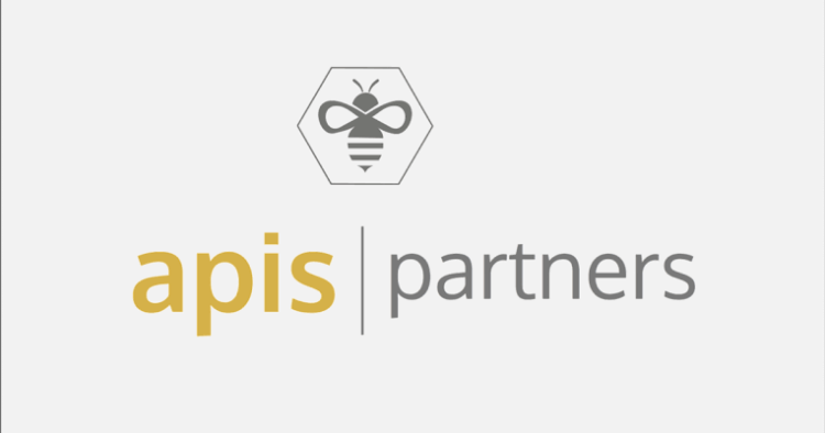 Apis Partners Raises $550 million to Support African & Asian Fintechs