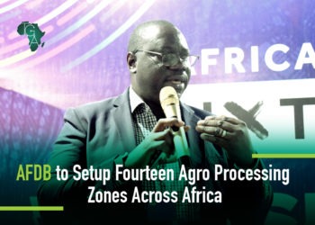 AFDB to Setup Fourteen Agro Processing Zones Across Africa