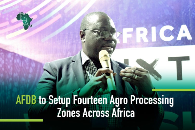 AFDB to Setup Fourteen Agro Processing Zones Across Africa
