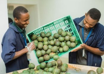 Tanzania-based East Africa Fruits Secures $2 Million Series-A Round