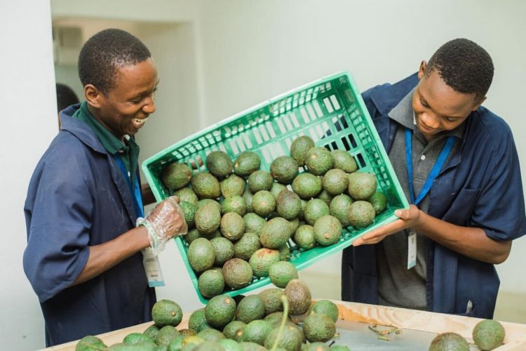 Tanzania-based East Africa Fruits Secures $2 Million Series-A Round