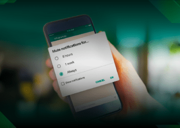 New WhatsApp feature to allow users mute group chats forever