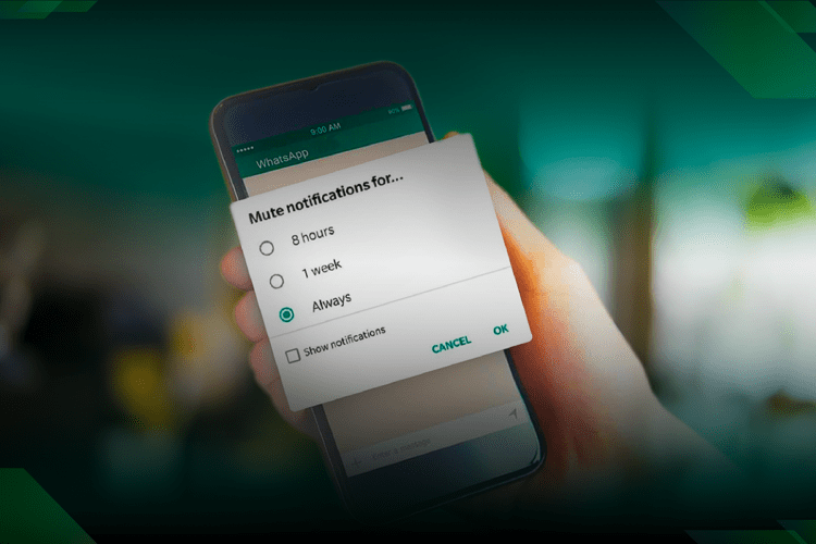 New WhatsApp feature to allow users mute group chats forever