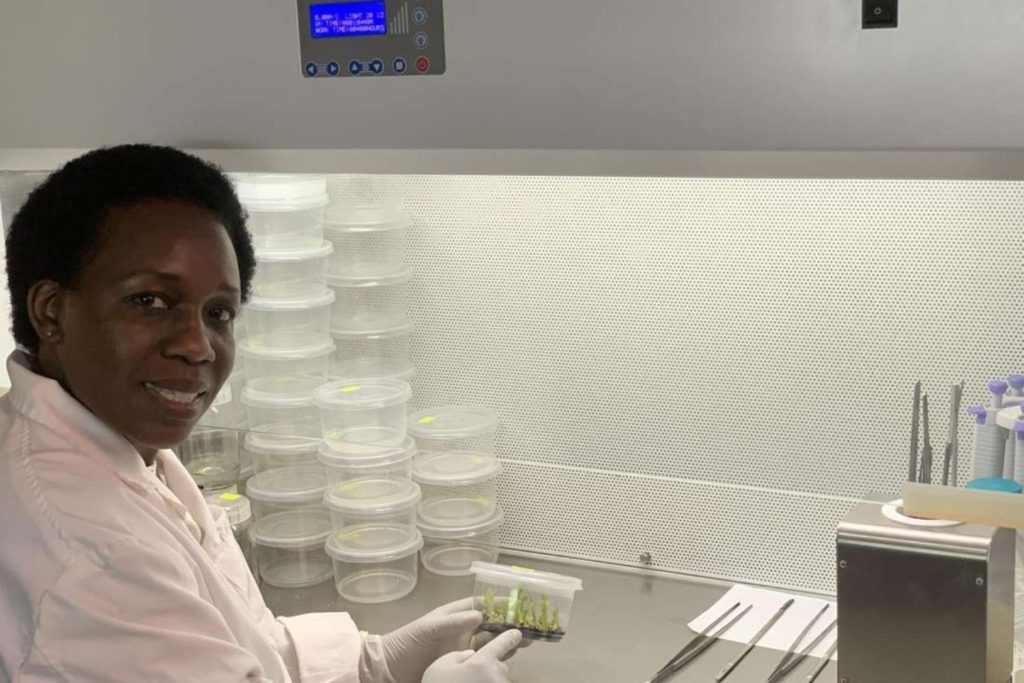 Arbres Biotech Dr. Rachel Okeyo Kenya tech africa