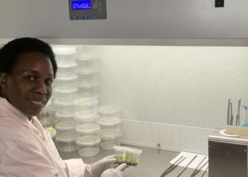 Arbres Biotech Dr. Rachel Okeyo Kenya tech africa