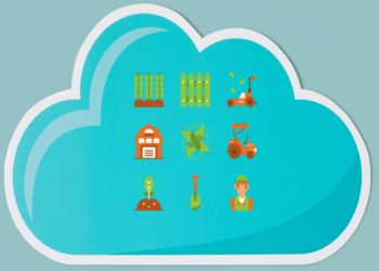 Farmer’s Choice, Deploys Microsoft Cloud Solution