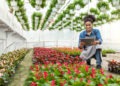 agriculture digital technology agritech africa news