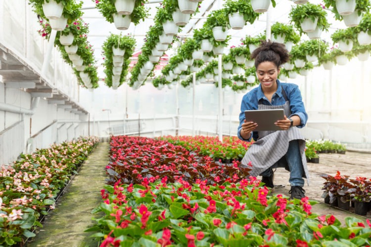 agriculture digital technology agritech africa news
