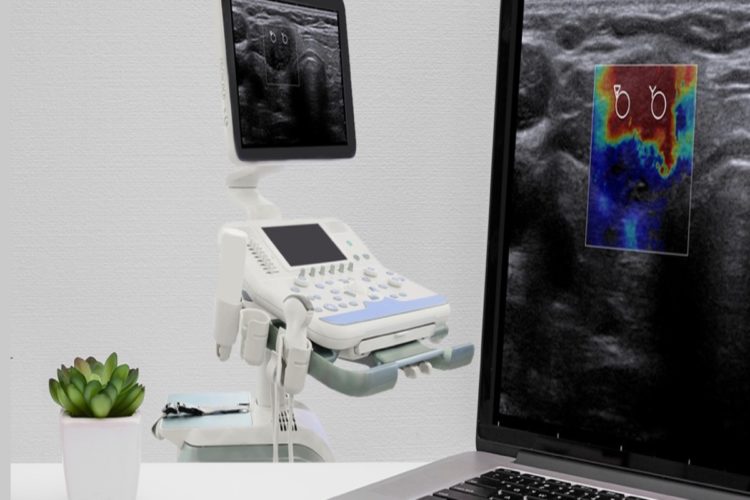 DilenyTech Egypt-health technology news africa