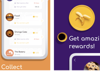 Koinz, Egypt's Food aggregator Startup Tech Gist Africa