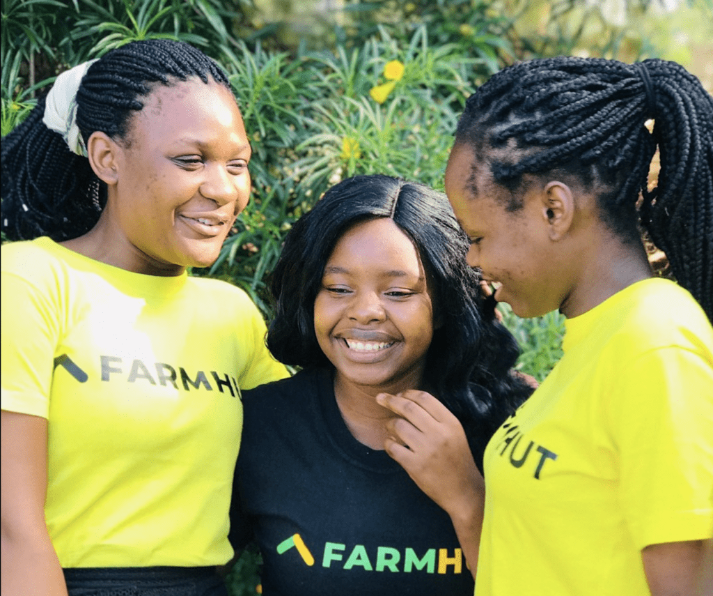 Farmhut Zimbabwe agritech startup