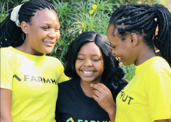 Farmhut Zimbabwe agritech startup
