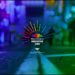 MultiChoice Innovation Fund