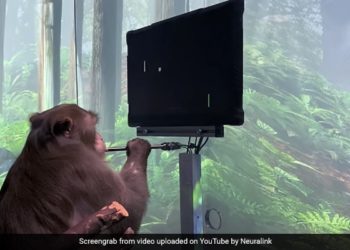 Neuralink Elon Musk