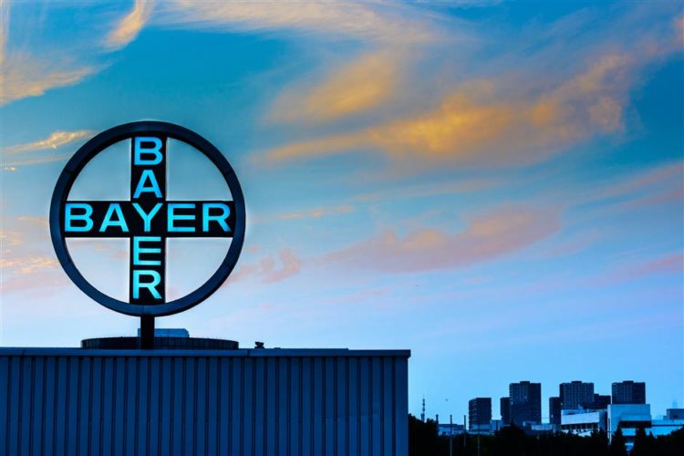 Bayer Foundation