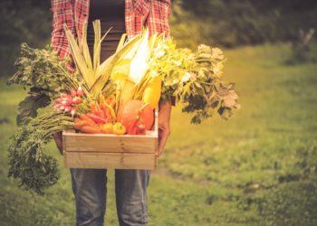 United Nations Food Startups