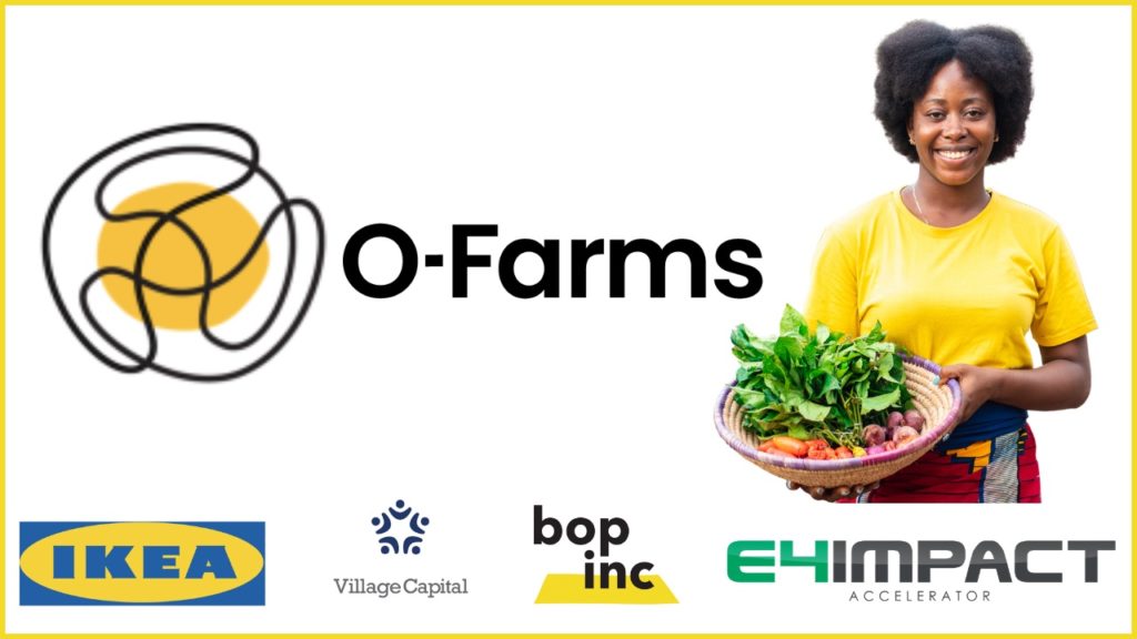 O-Farms accelerator programme Kenya