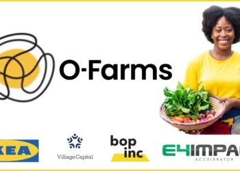 O-Farms accelerator programme Kenya
