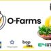 O-Farms accelerator programme Kenya