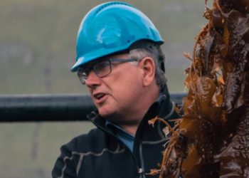 Ocean Rainforest Denmark Faroe Islands