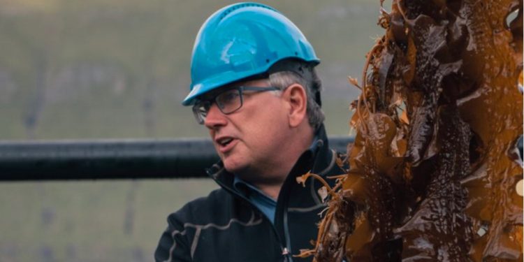 Ocean Rainforest Denmark Faroe Islands