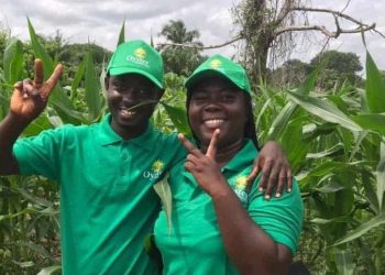 Oyster Agribusiness Ghana
