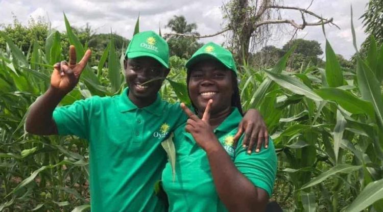 Oyster Agribusiness Ghana