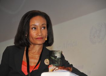 Anne Marie Chidzero, FSD Africa