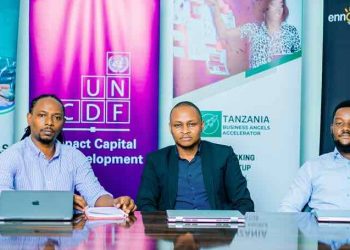 Tanzania Business Angel Investors Accelerator