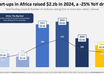 African startups Funding 2024