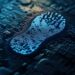 Digital Footprint